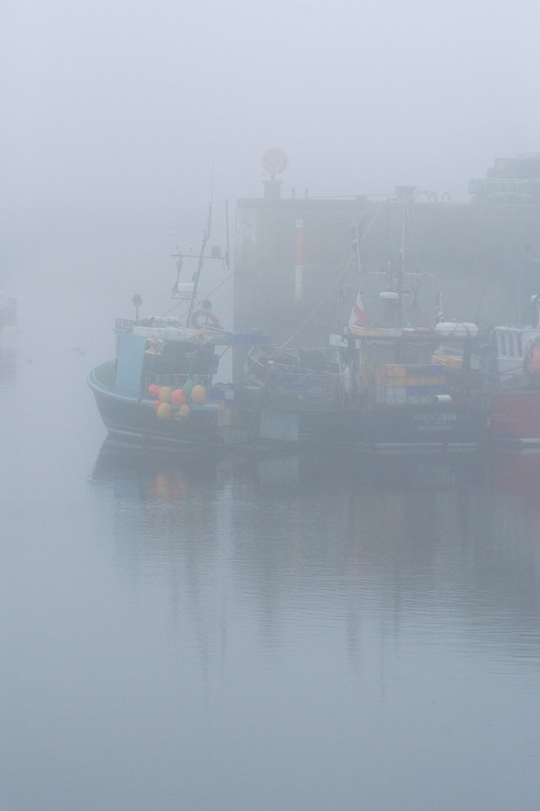 1st - Harboring Fog - Stephen Smith